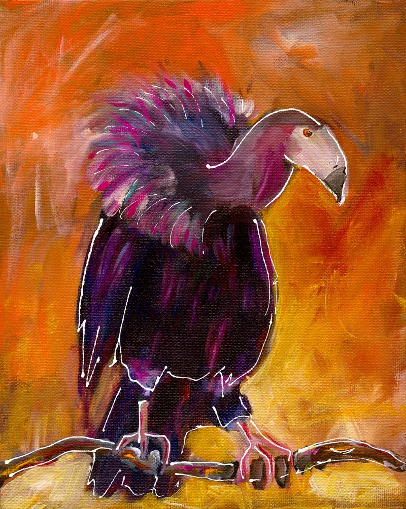 V is for Vulture