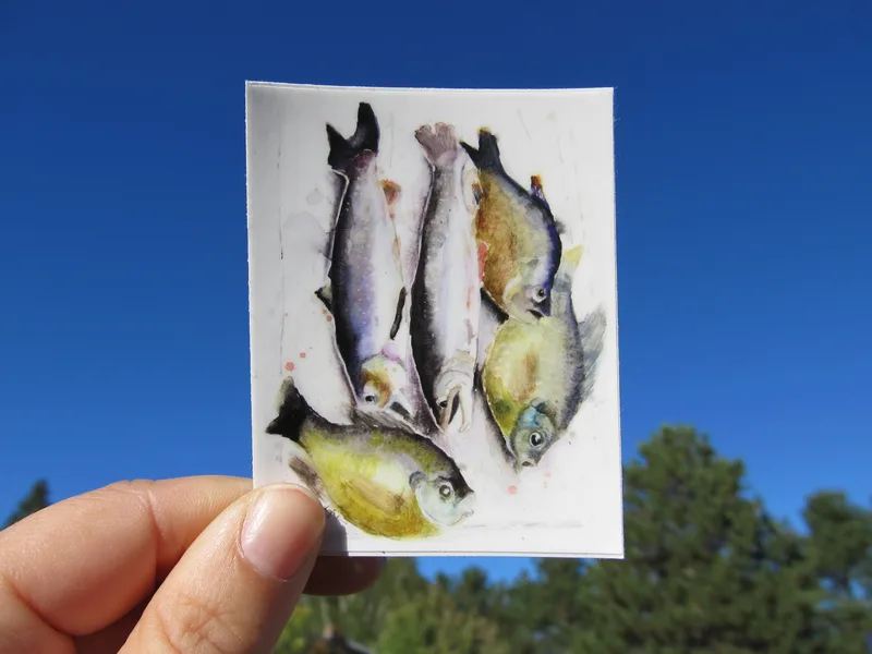 Fish Sticker