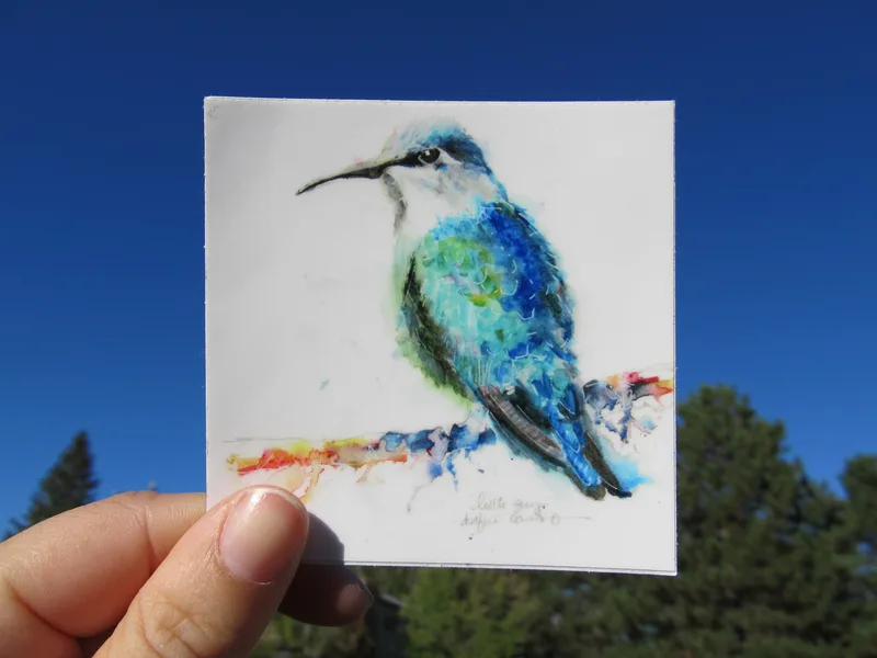 Humming Bird 1 Sticker