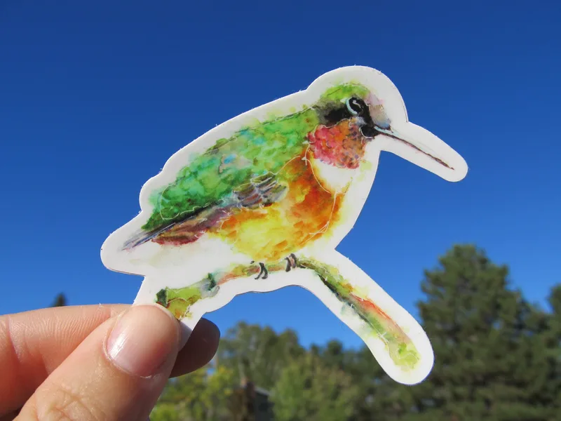 Humming Bird 3 Sticker