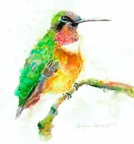 Picture